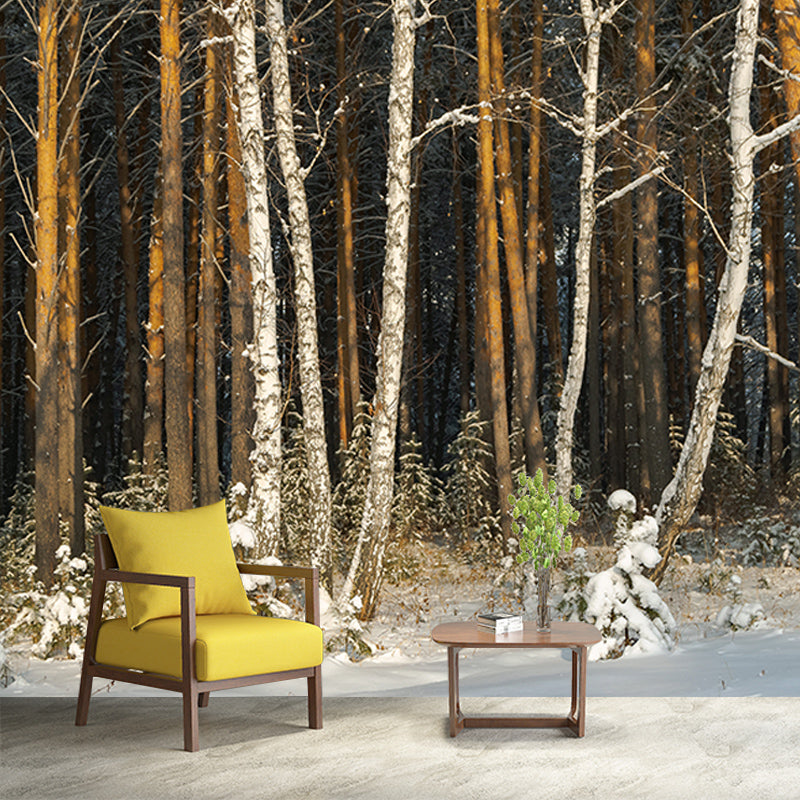 Winter Forest Landscape Mural Wallpaper for Home Decoration, Moisture Resistant