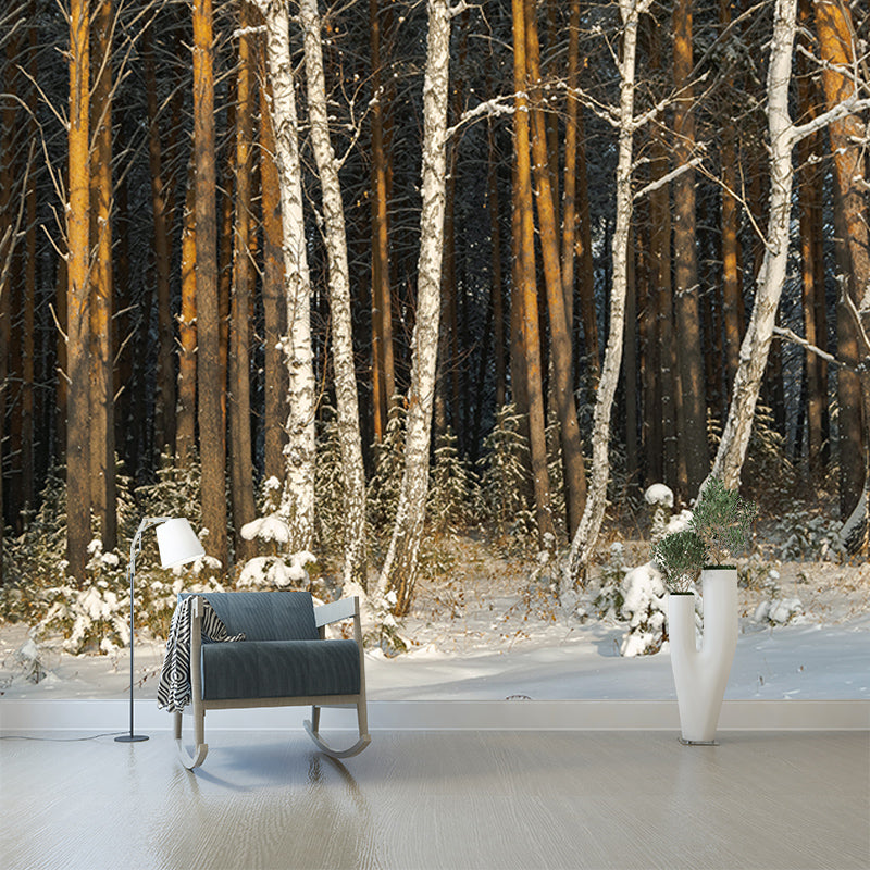 Winter Forest Landscape Mural Wallpaper for Home Decoration, Moisture Resistant