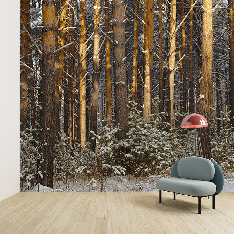 Winter Forest Landscape Mural Wallpaper for Home Decoration, Moisture Resistant