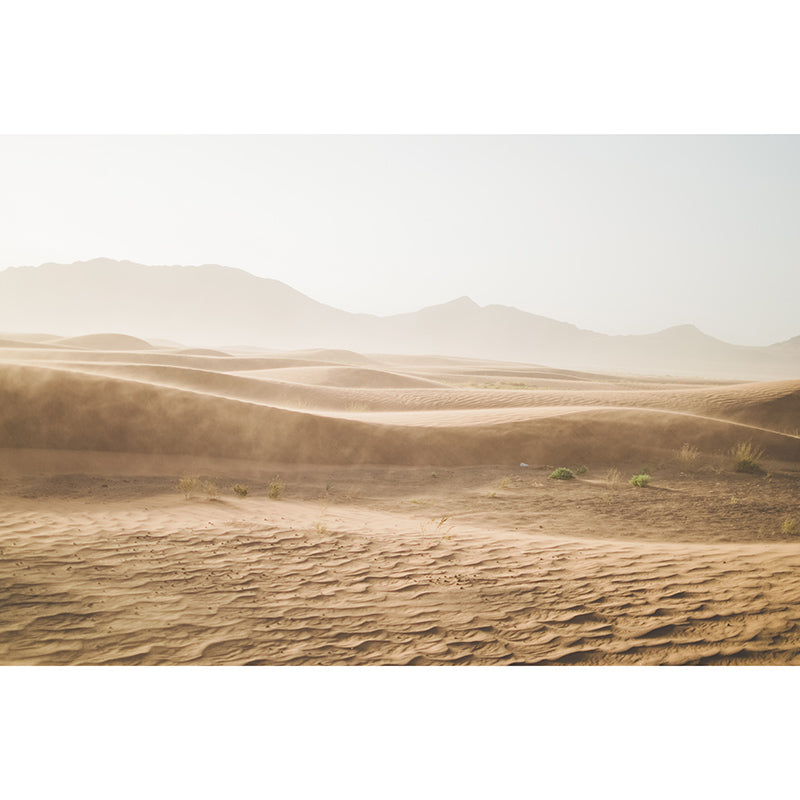 Dry Desert View Wall Mural Wallpaper Mildew Resistant Sitting Room Wall Decor