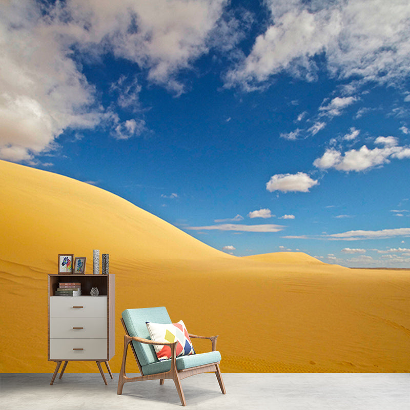 Dry Desert Contemporary Mural Decal Sitting Room Water Resistant Wall Decor