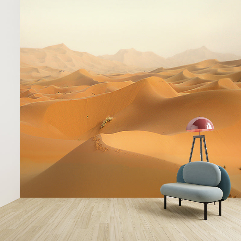 Dry Desert Contemporary Mural Decal Sitting Room Water Resistant Wall Decor