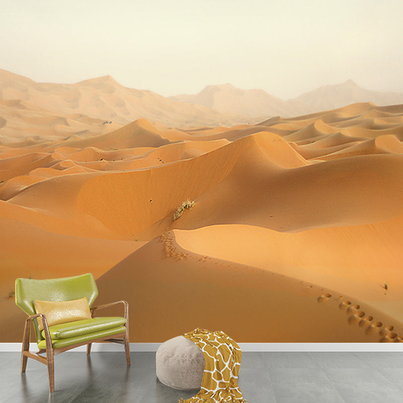 Dry Desert Contemporary Mural Decal Sitting Room Water Resistant Wall Decor