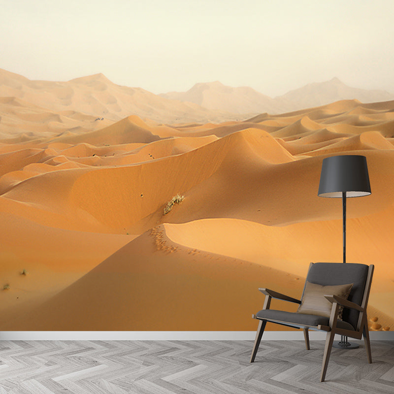 Dry Desert Contemporary Mural Decal Sitting Room Water Resistant Wall Decor