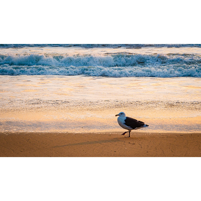 Blue Ocean Wall Mural Wallpaper Moisture Resistant Modern Bedroom Home Decor