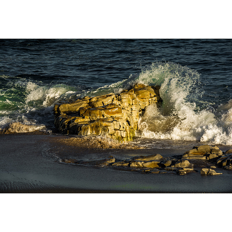 Tropical Sea Customized Mural Stain Resistant Eco-friendly Wall Art for Bathroom