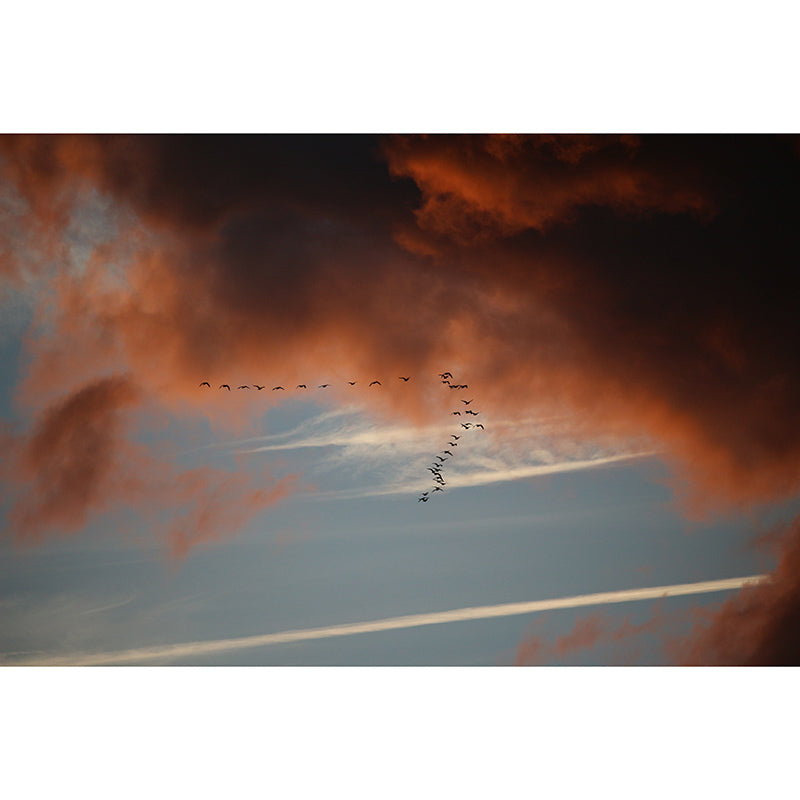 Cloudy Sky Wallpaper Mural Custom-Made Wall Covering for Sleeping Room