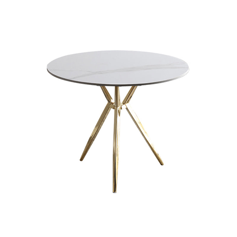 Modern Style Round Dining Table Sintered Stone Table with Metal Base for Home Use