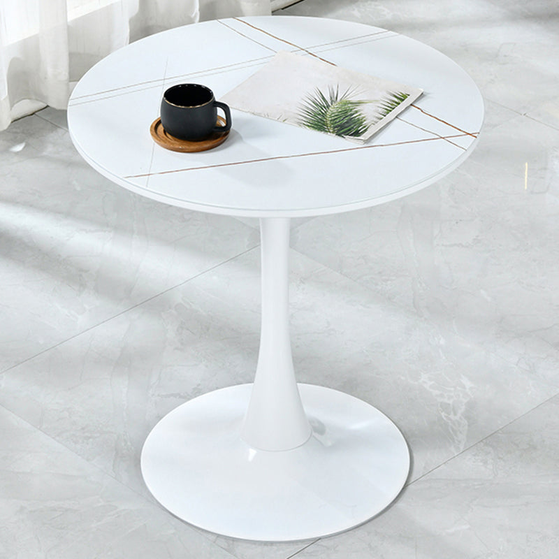 Round Shape Dining Table Simplicity Style Tulip Base Table for Dining Room