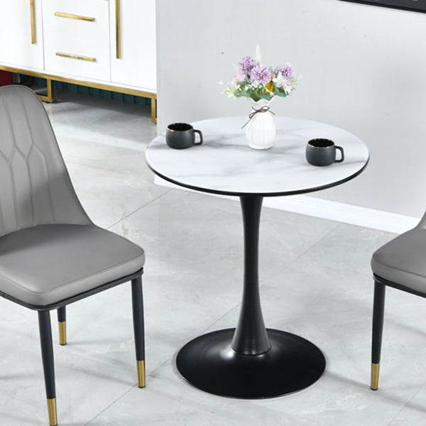 Round Shape Dining Table Simplicity Style Tulip Base Table for Dining Room