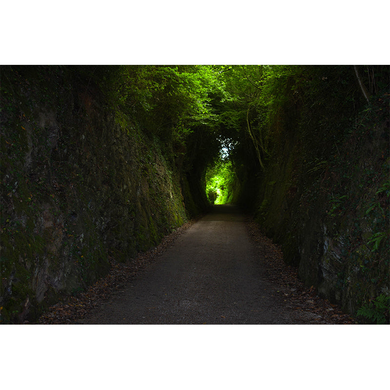 Modern Style Spatial Extension Mural Mildew Resistant Wallpaper for Home Decoration