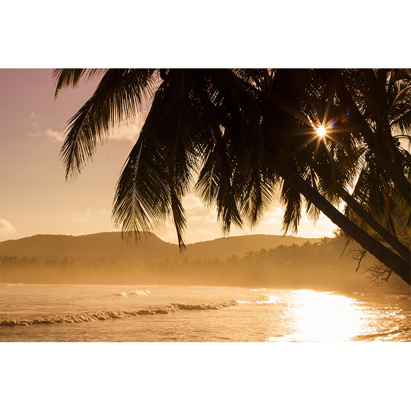 Tropical Palm Leaves Mural Soft Color Stain Resistant Wall Covering for Living Room