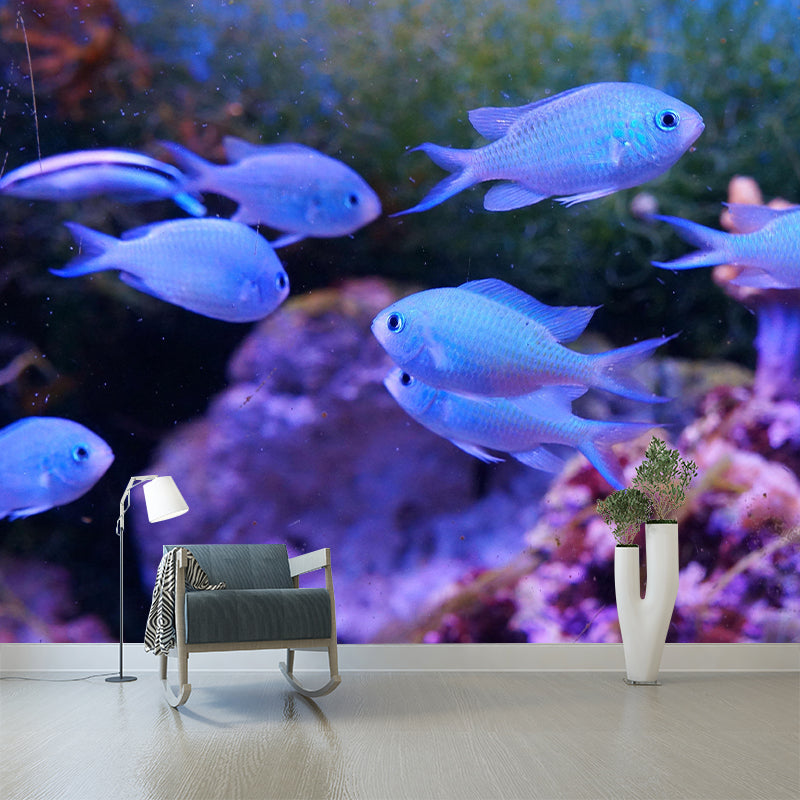 Underwater Mural Contemporary Photography Wall Covering for Home Decor