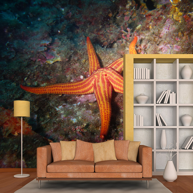 Photography Underwater Wall Mural Contemporary Decorative Wall Murals for Bedrooms