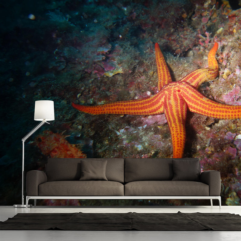 Photography Underwater Wall Mural Contemporary Decorative Wall Murals for Bedrooms