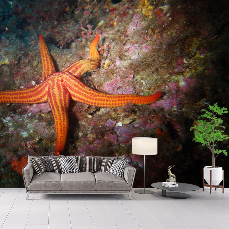 Photography Underwater Wall Mural Contemporary Decorative Wall Murals for Bedrooms