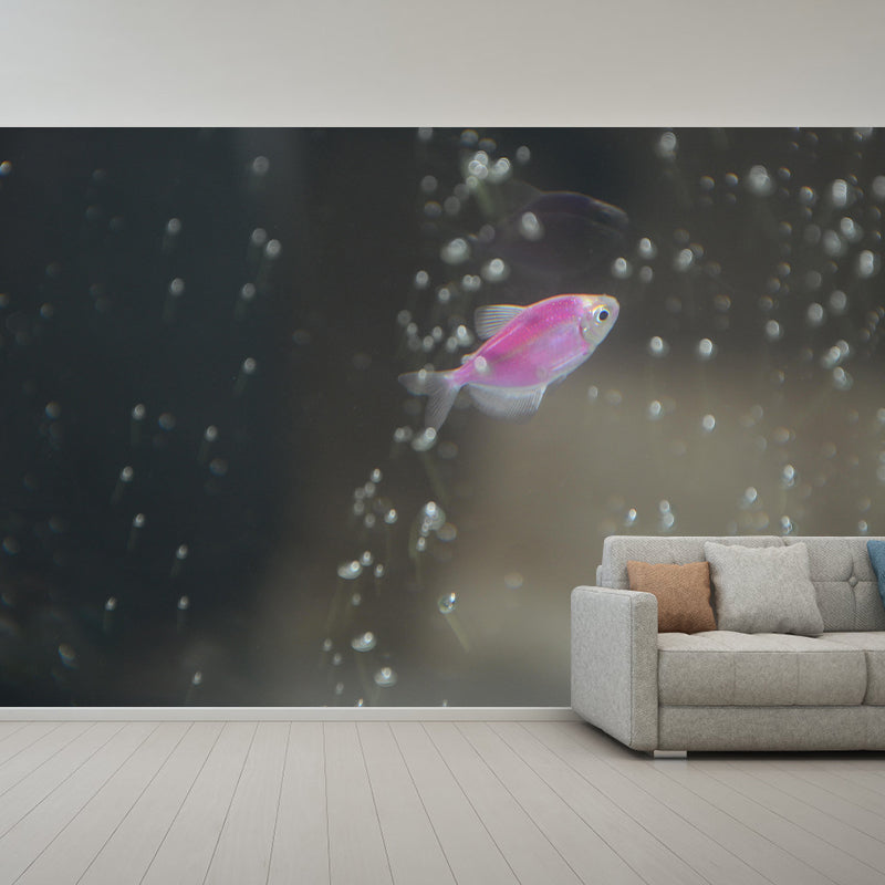Photography Underwater Wall Mural Contemporary Decorative Wall Murals for Bedrooms