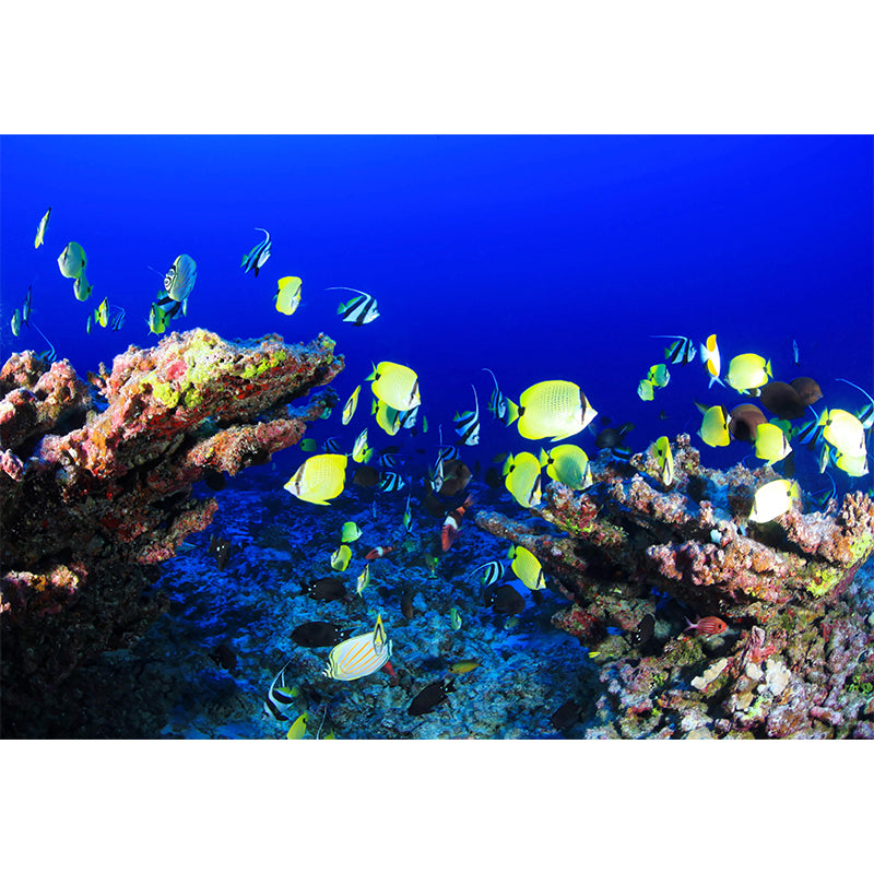 Underwater World Wall Mural Contemporary Decorative Wall Art for Decoration