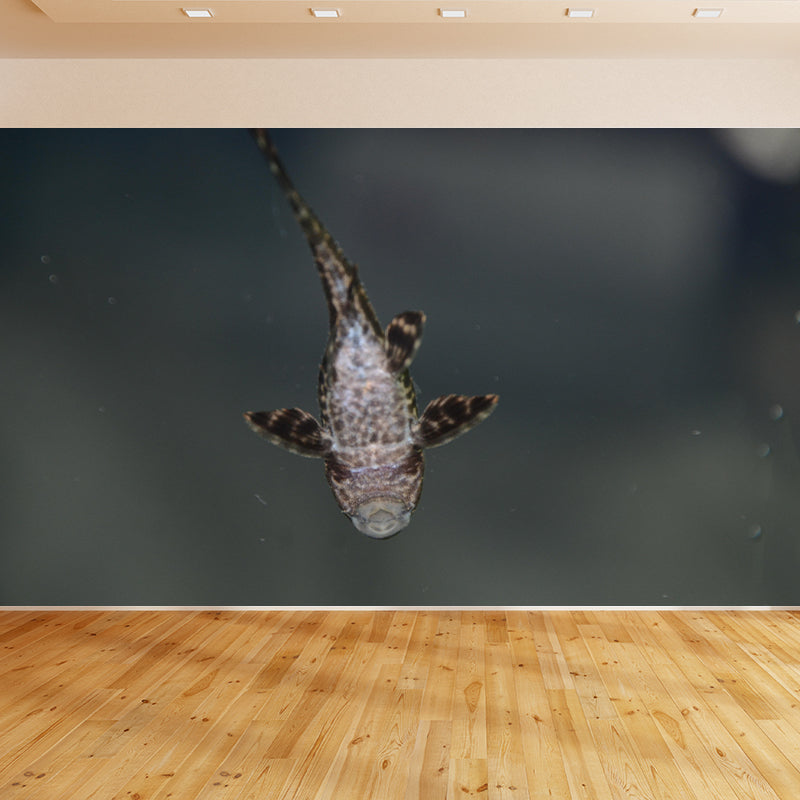 Underwater World Wall Mural Contemporary Decorative Wall Art for Decoration