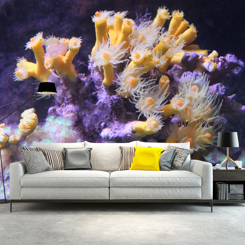 Contemporary Underwater World Wall Mural Wallpaper Eco-friendly in Bright Color