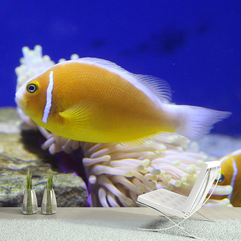 Underwater World Mural Contemporary Photography Wall Covering for Home Decor