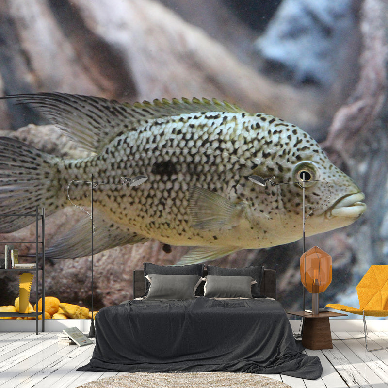 Underwater World Mural Contemporary Photography Wall Covering for Home Decor