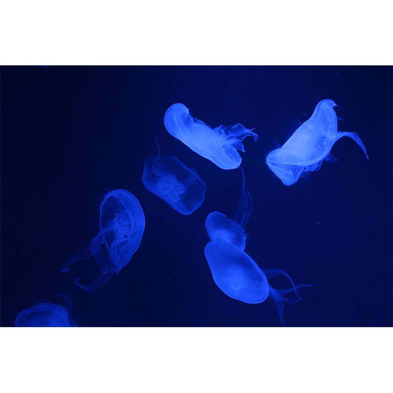 Underwater World Mural Contemporary Decorative Living Room Wall Art for Decoration