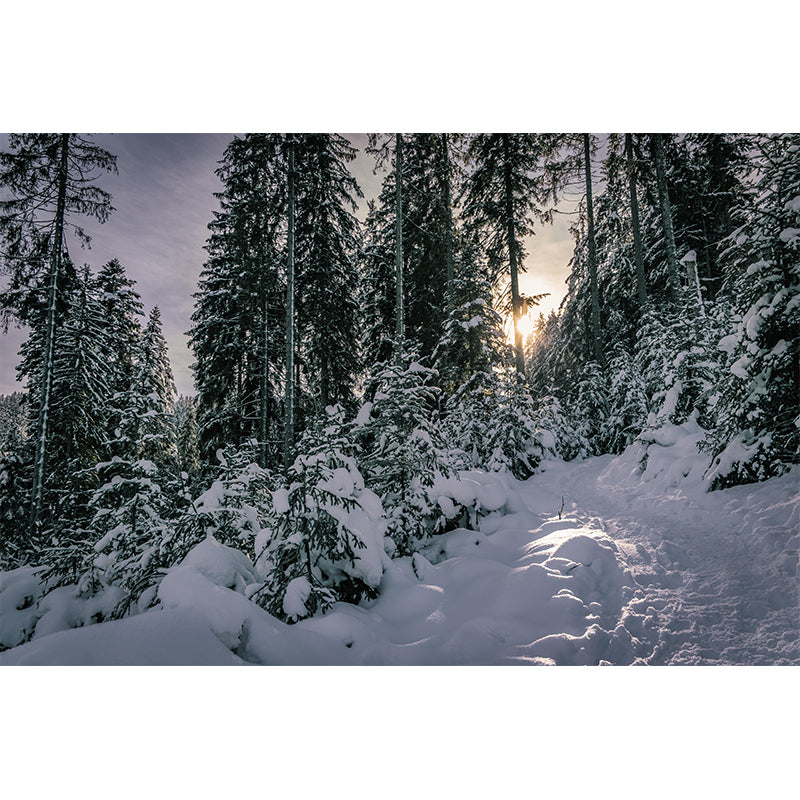 Contemporary Photography Landscape Wall Mural Decorative Wall Mural for Bedroom