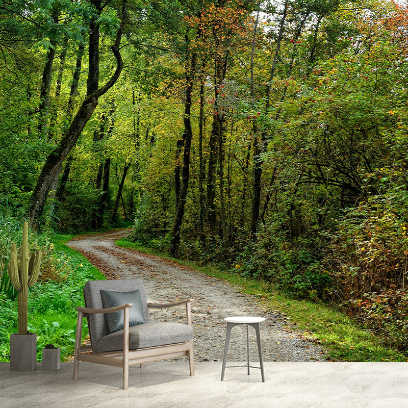 Contemporary Photography Landscape Wall Mural Decorative Wall Mural for Bedroom