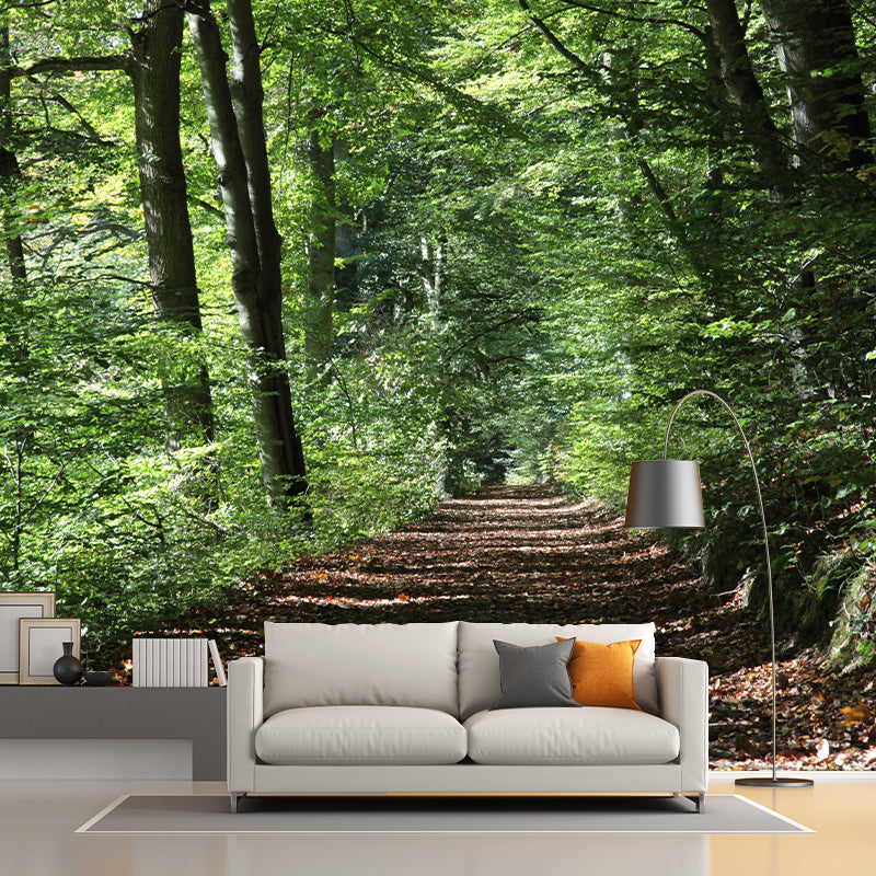 Contemporary Photography Landscape Wall Mural Decorative Wall Mural for Bedroom