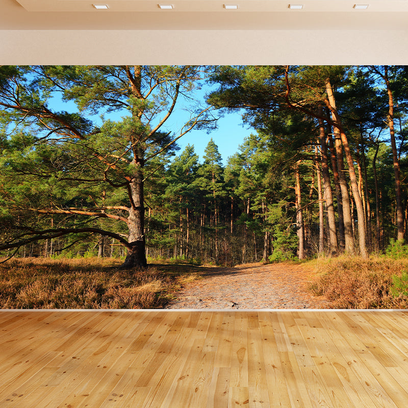 Forest Wall Mural Contemporary Photography Wall Covering for Decoration