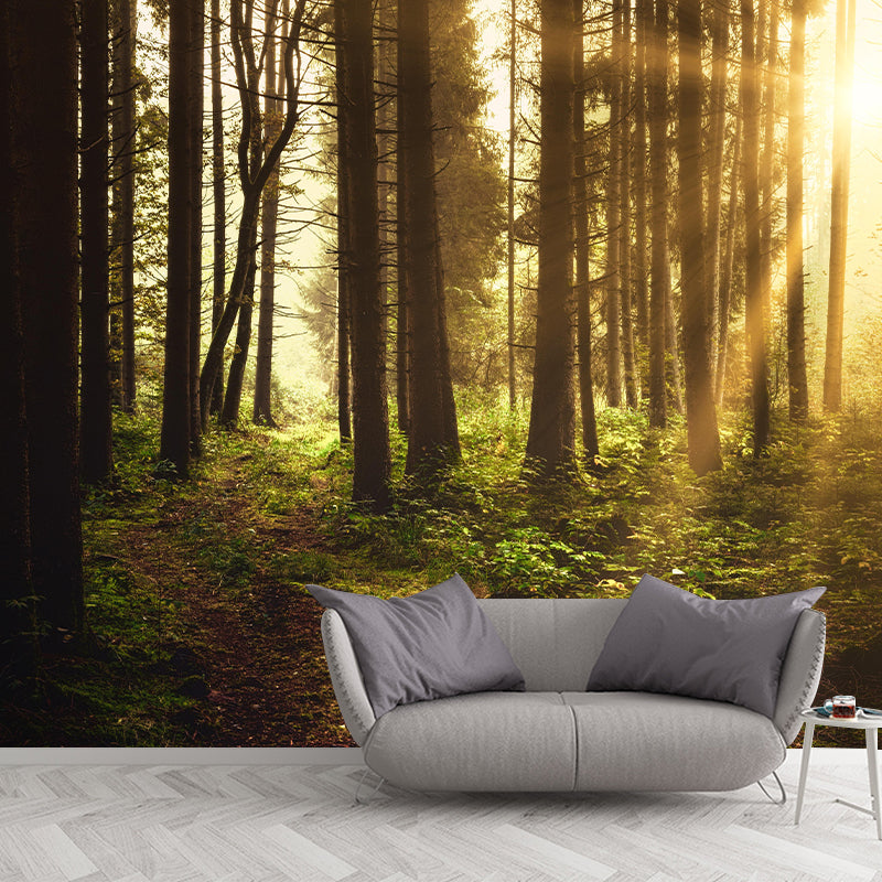 Natural Landscape Wall Mural Contemporary Living Room Wall Art for Decoration