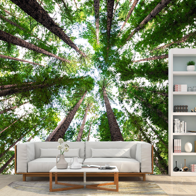 Natural Landscape Wall Mural Contemporary Living Room Wall Art for Decoration