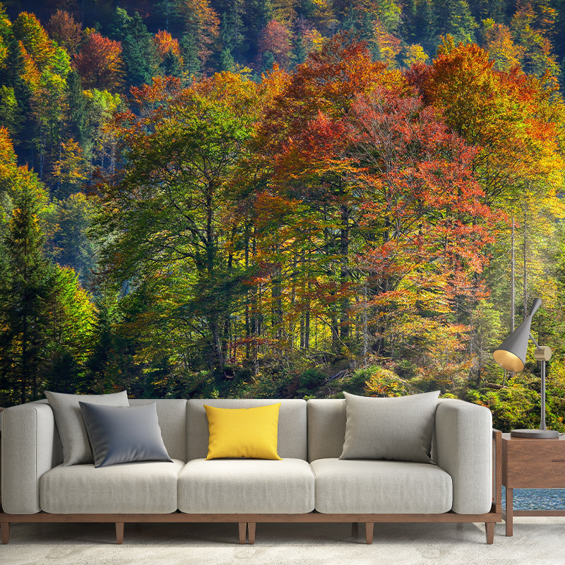 Forest Landscape Wall Mural Contemporary Decorative Wall Murals for Bedrooms