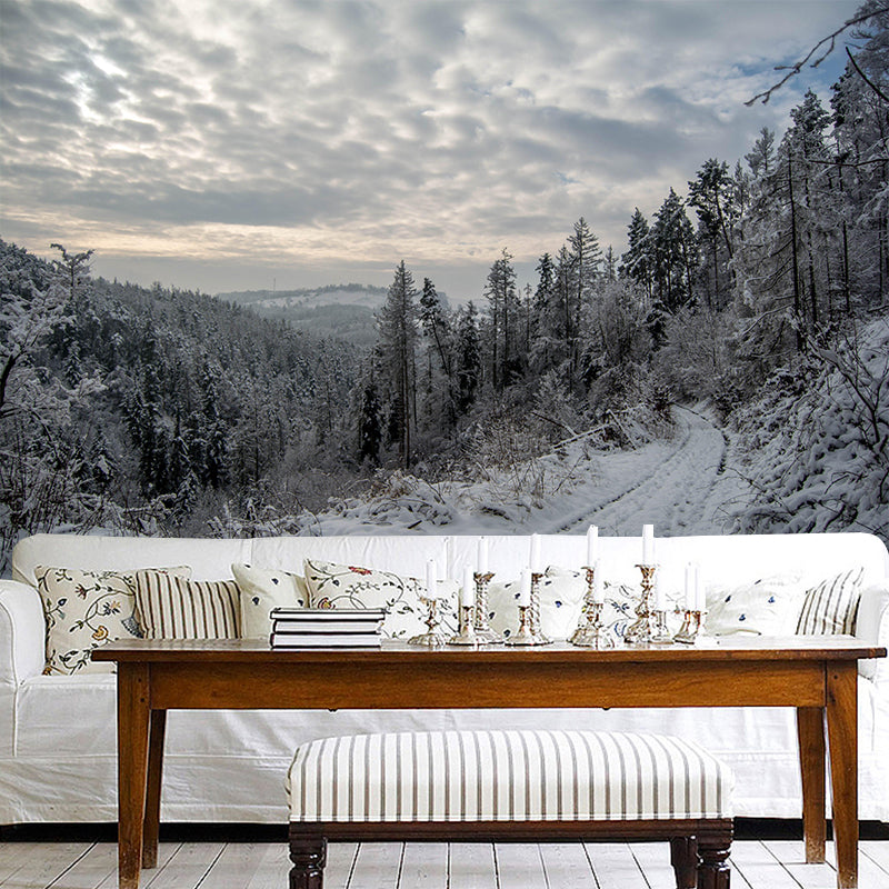 Forest Landscape Wall Mural Contemporary Decorative Wall Murals for Bedrooms