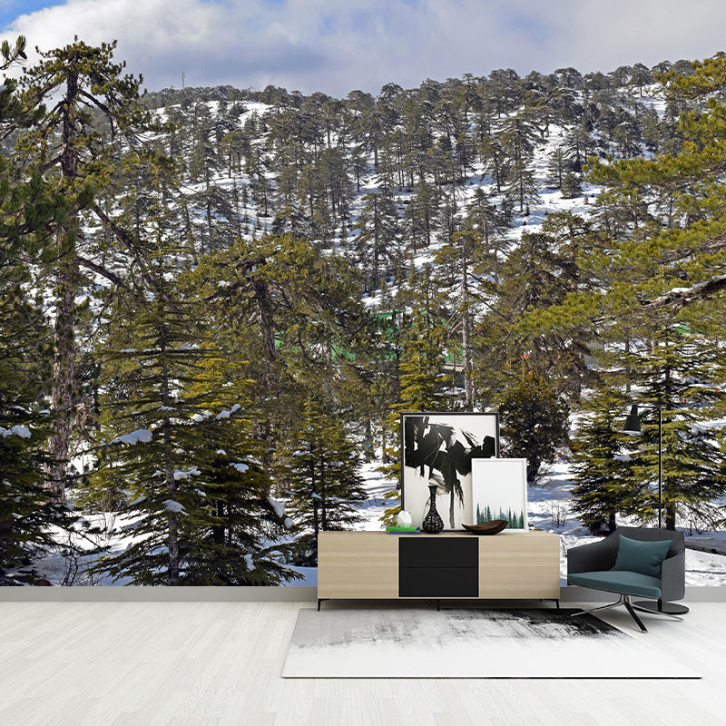 Natural Landscape Wall Mural Decorative Dining Room Wall Art for Decoration