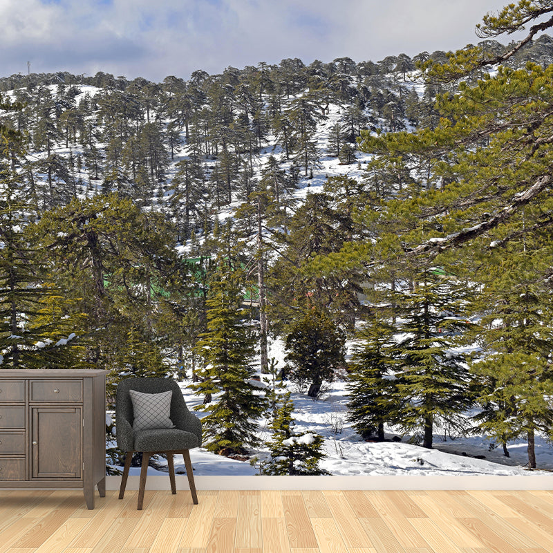 Natural Landscape Wall Mural Decorative Dining Room Wall Art for Decoration