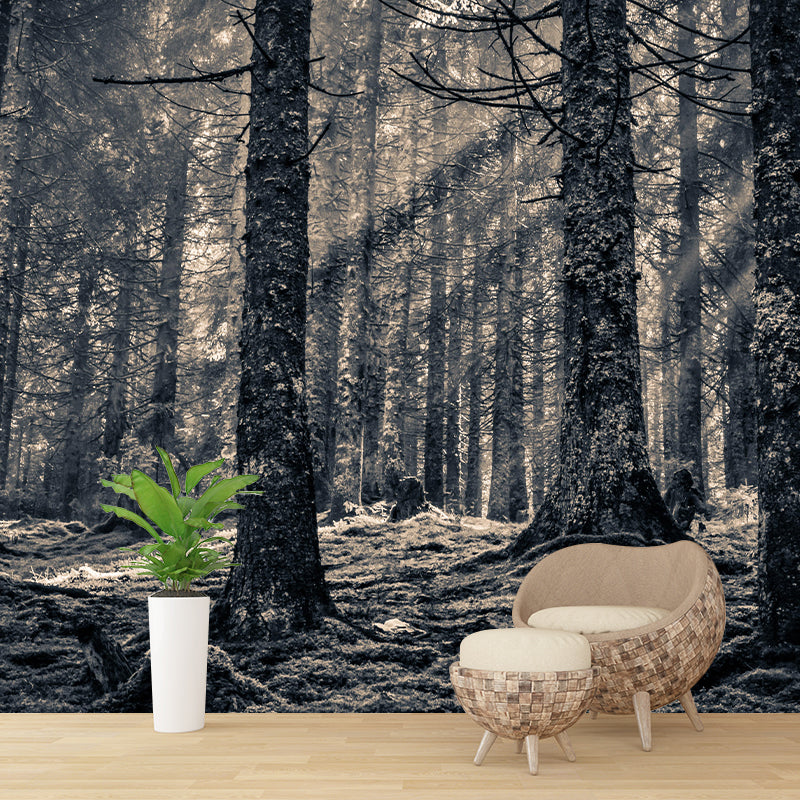 Natural Landscape Wall Mural Decorative Dining Room Wall Art for Decoration