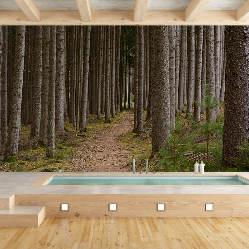 Photography Landscape Wall Mural Contemporary Decorative Wall Mural for Bedroom