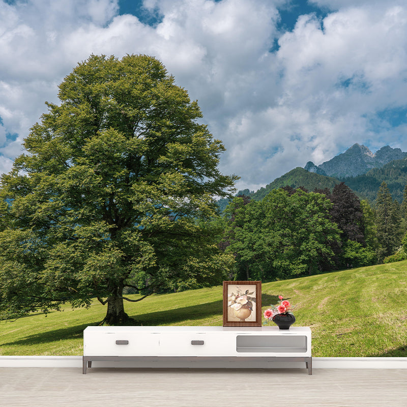 Photography Landscape Wall Mural Contemporary Decorative Wall Mural for Bedroom