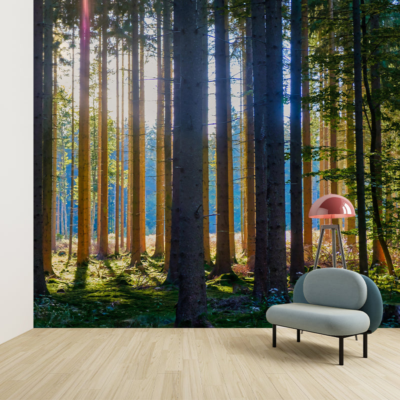 Forest Wall Mural Contemporary Photography Wall Covering for Wall Decor