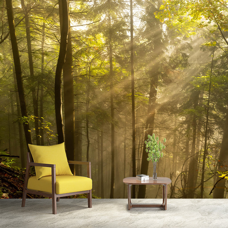 Forest Wall Mural Contemporary Photography Wall Covering for Wall Decor