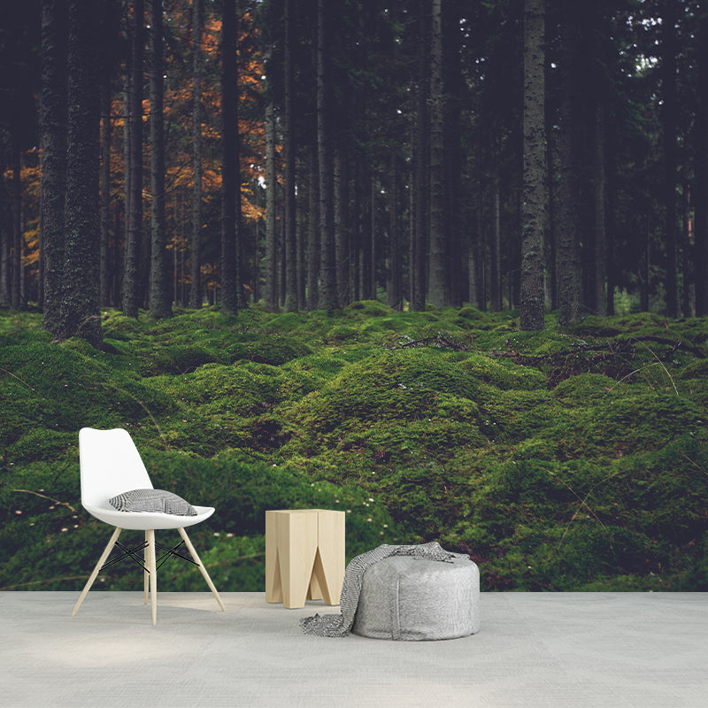 Contemporary Forest Wall Mural Wallpaper Eco-friendly Wall Mural in Bright Color
