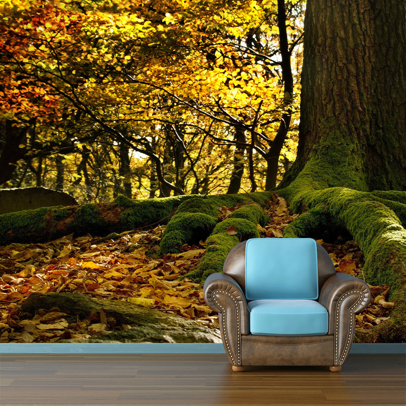Contemporary Forest Wall Mural Wallpaper Eco-friendly Wall Mural in Bright Color