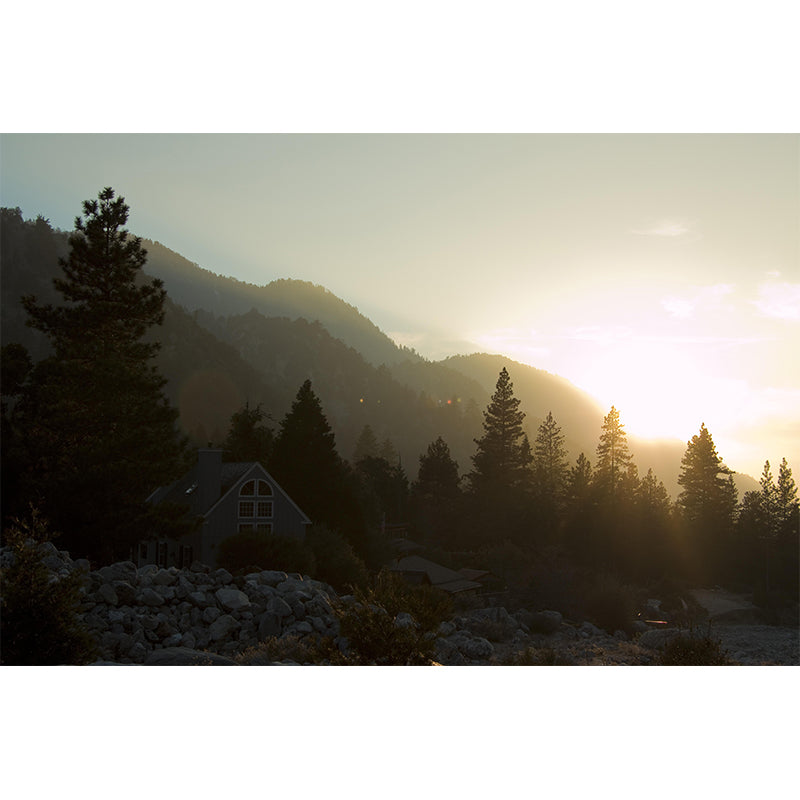 Natural Landscape Wall Mural Contemporary Decorative Living Room Wall Art for Decoration