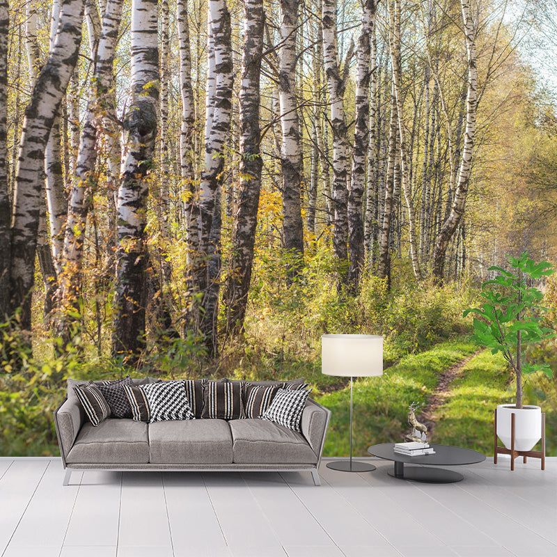 Natural Landscape Wall Mural Contemporary Decorative Living Room Wall Art for Decoration