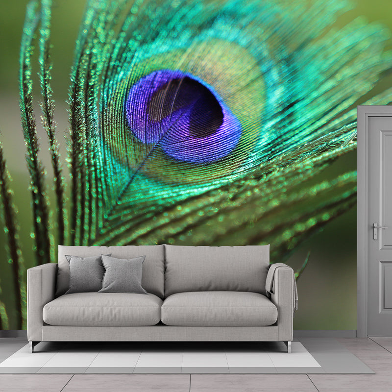 Peacock Feather Wall Mural Contemporary Home Decor Mildew Resistant for Home