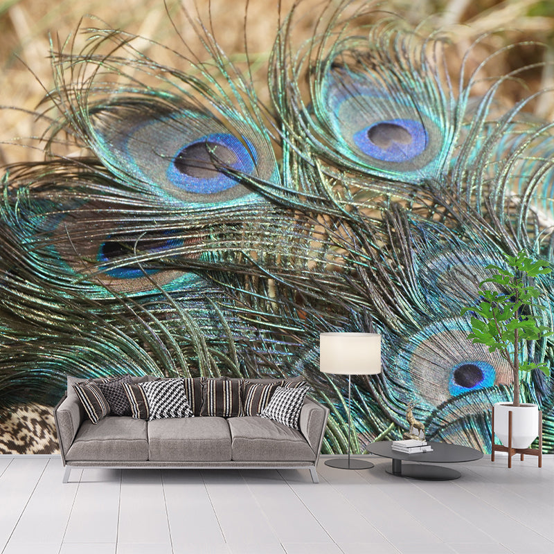 Peacock Feather Wall Mural Contemporary Home Decor Mildew Resistant for Home