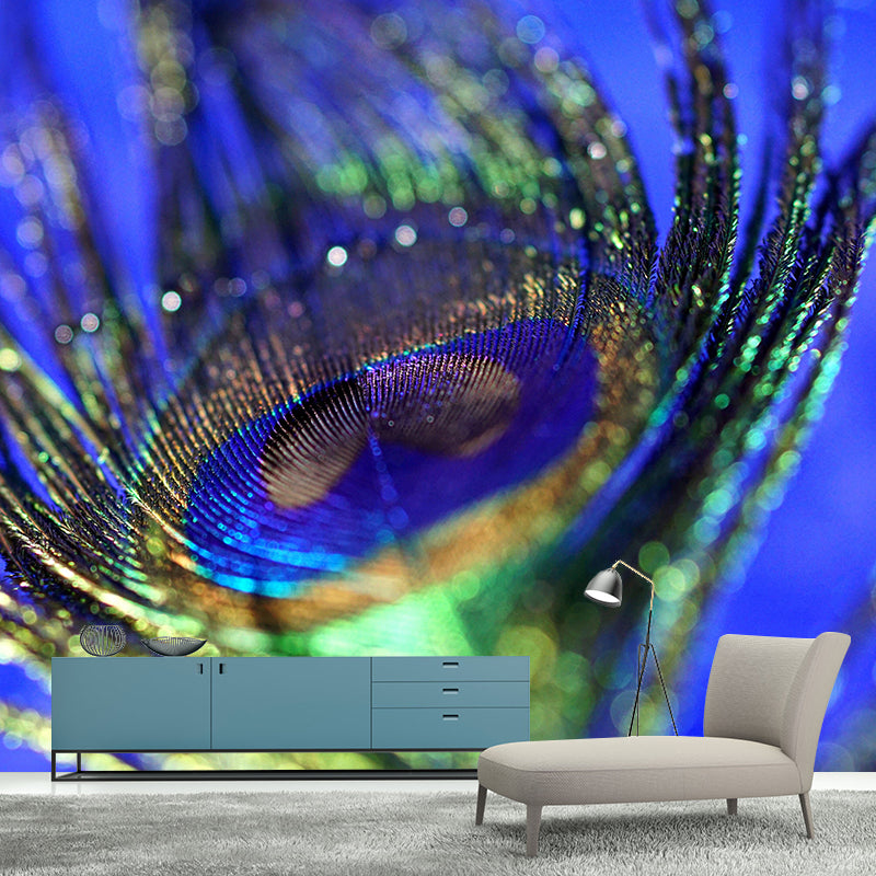 Peacock Feather Wall Mural Contemporary Home Decor Mildew Resistant for Home