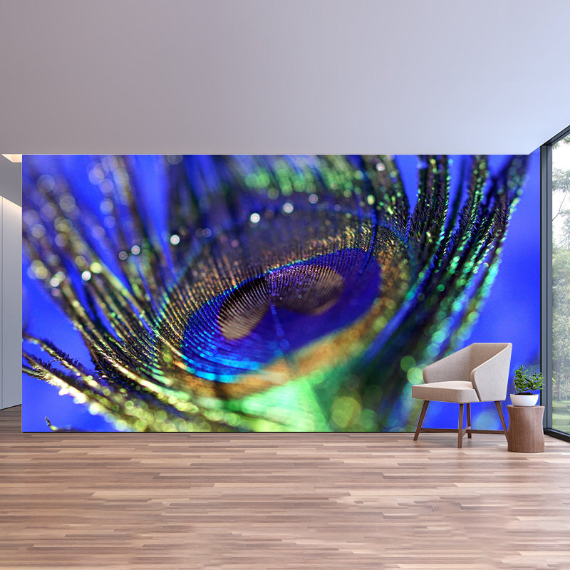 Peacock Feather Wall Mural Contemporary Home Decor Mildew Resistant for Home